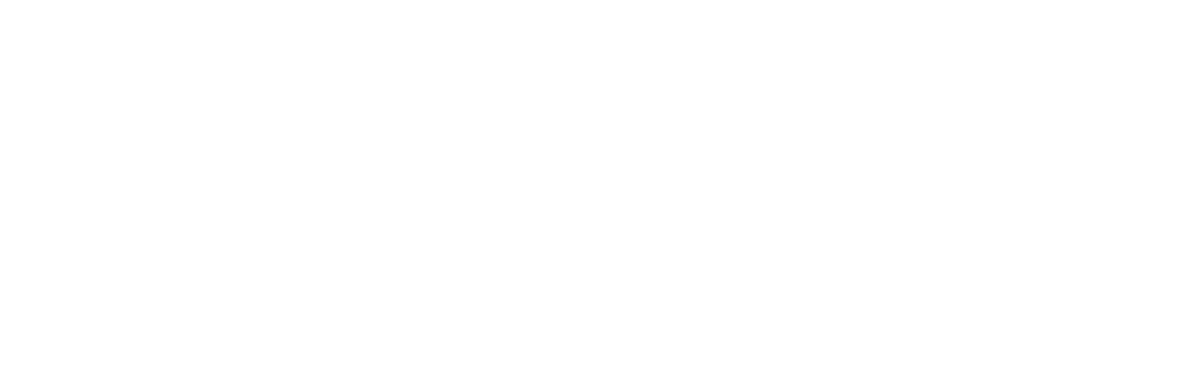 Wuhan University logo